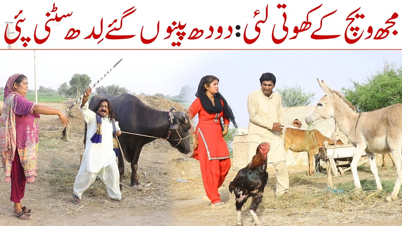 Bhens //Ramzi Sughri Ghafar Thakar & Mai Sabiran New Funny Video By Rachnavi Tv