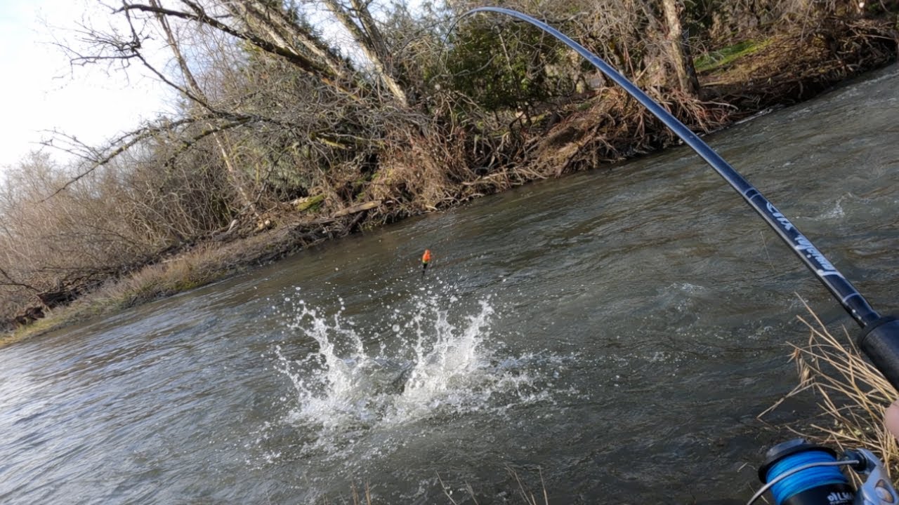 Creek Fishing — Nonstop Bites in a Small Creek!