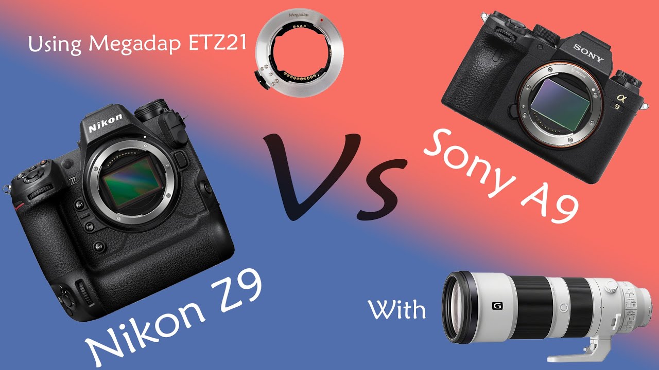 Sony A9 vs Nikon Z9 using Megadap ETZ21 and Sony 200-600mm