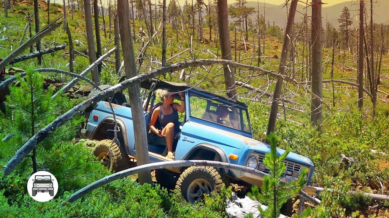 EARLY BRONCO 4X4 - Oregon