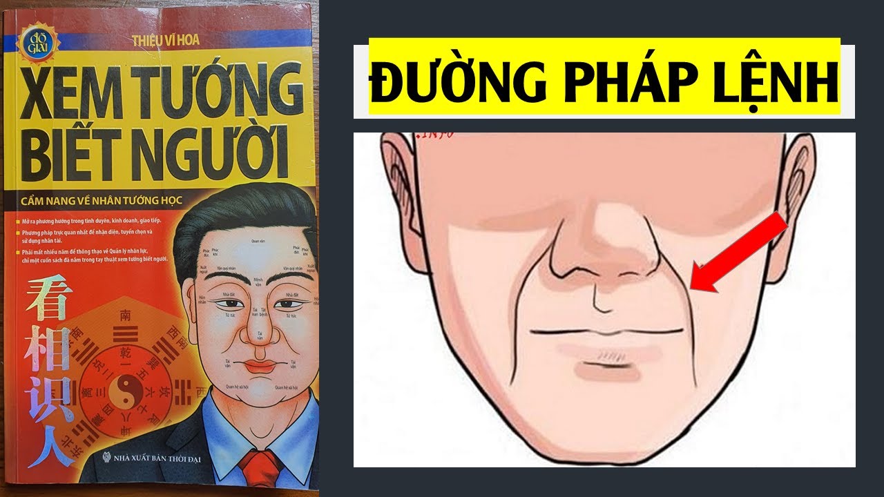 NHÂN TƯỚNG HỌC về ĐƯỜNG PHÁP LỆNH , ĐỌC VỊ người khác qua Đường Pháp Lệnh | @Bí Kíp X