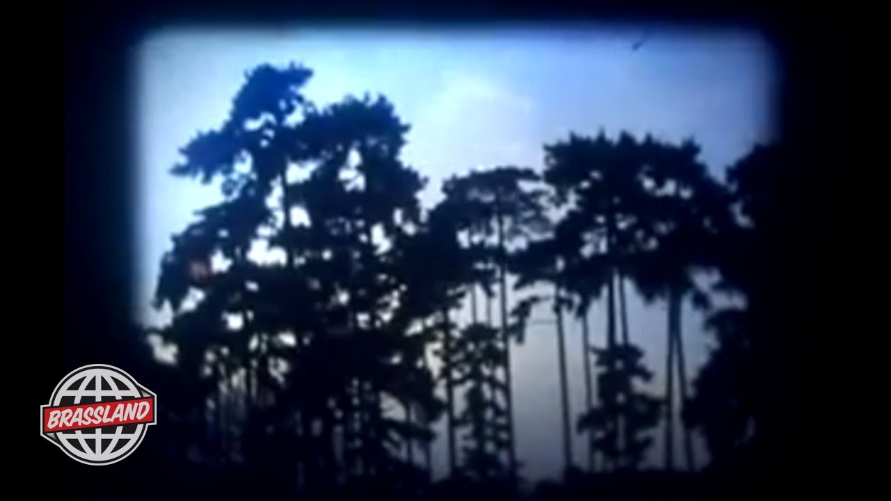 Clogs - 