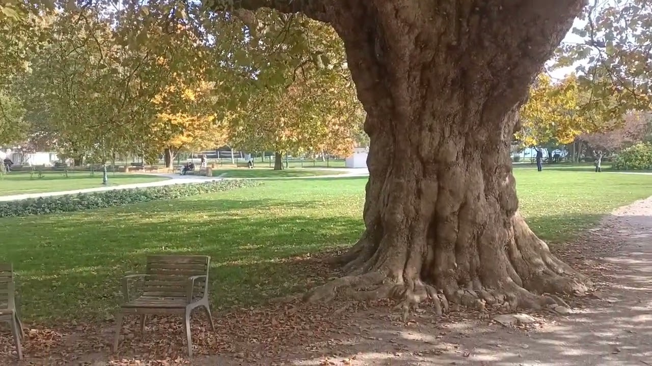 Promenade à Annecy et ses alentours.Partie 13/25 🌲🌳🍁🍂