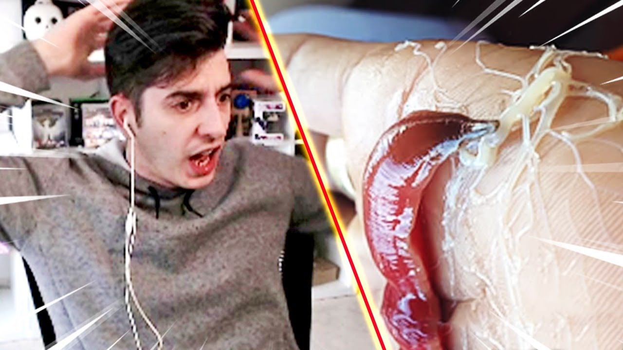 REACCIONO a los ANIMALES MÁS EXTRAÑOS del MUNDO! 😱