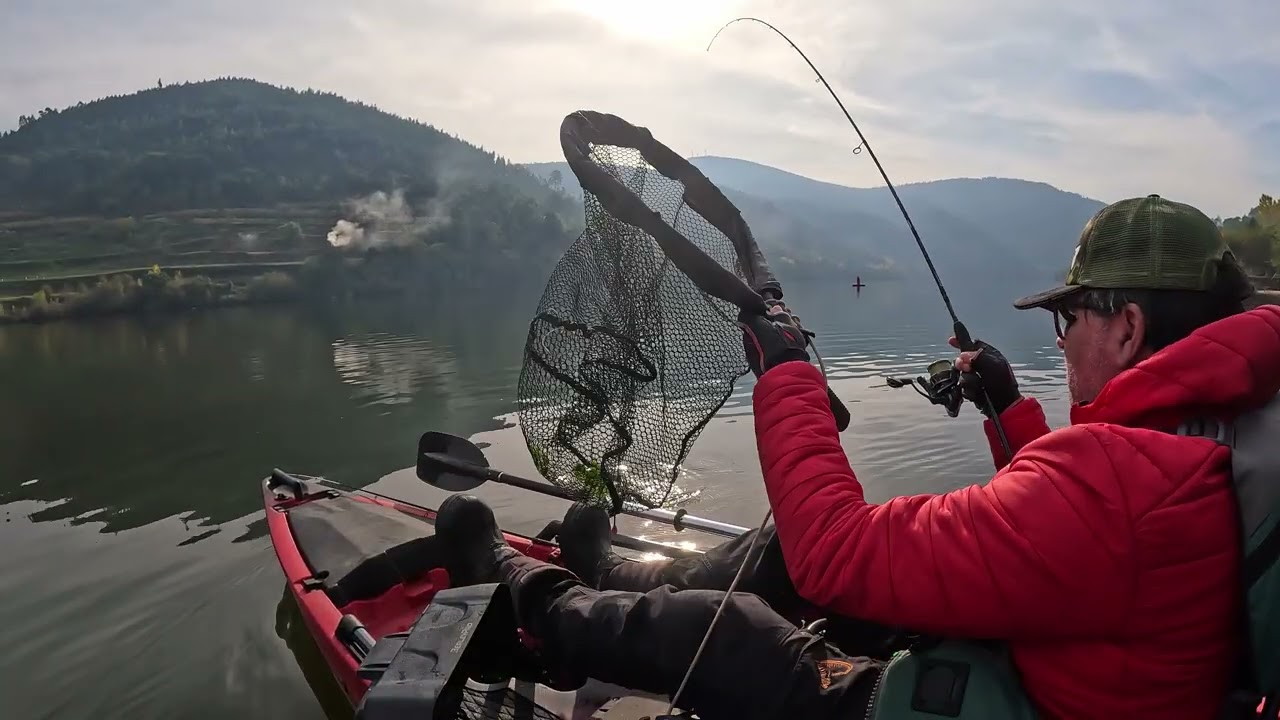 Pesca de Barbos com a amostra Crazy Fish Lema