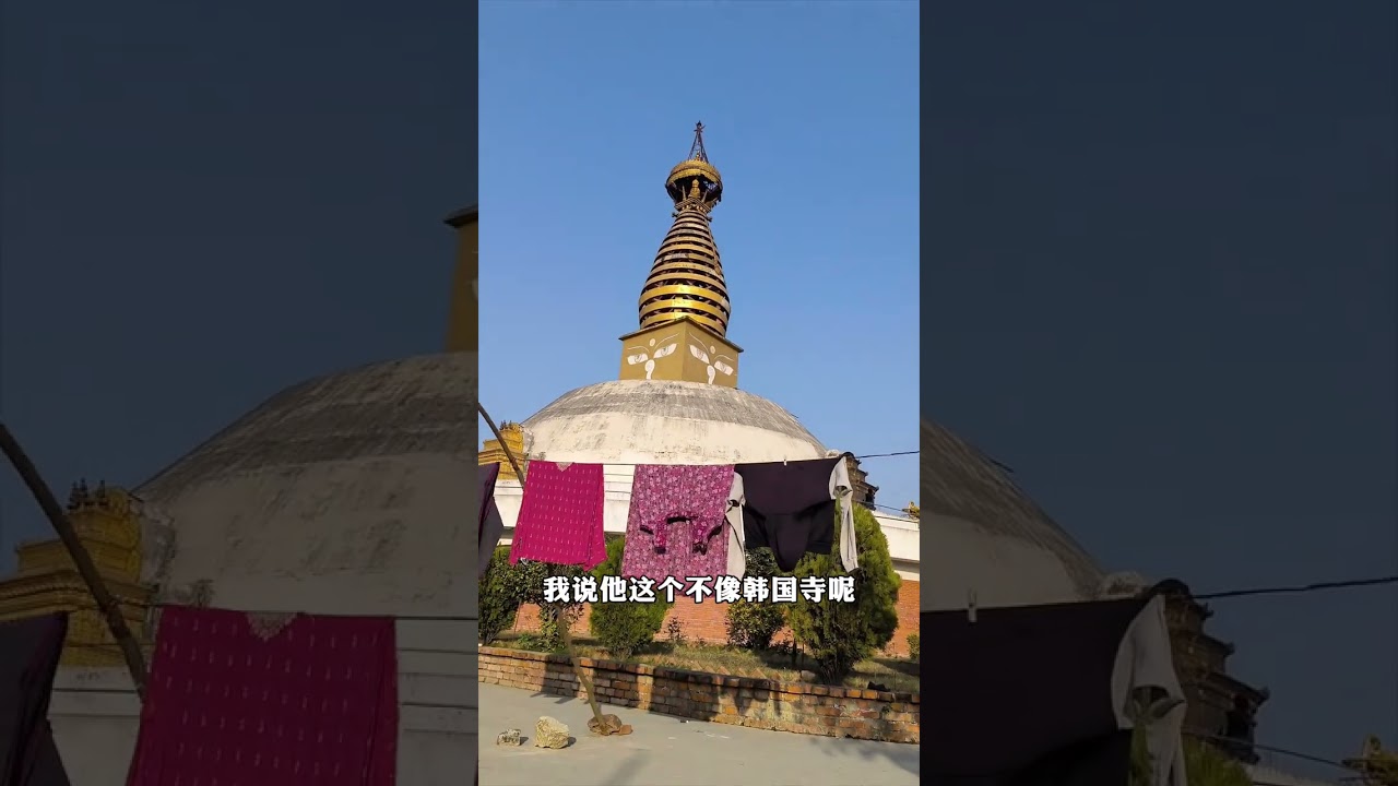 释迦摩尼诞生地尼泊尔蓝毗尼#尼泊尔 #佛教文化 #蓝毗尼佛祖诞生地 #印度 #旅行vlog