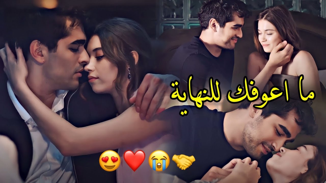 مصطفى ابراهيم 