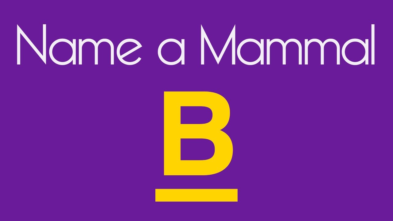 Alphabet Quiz Challenge #7 ⚡ Name It Before Time Runs Out! ---  | ABC Speed Quiz