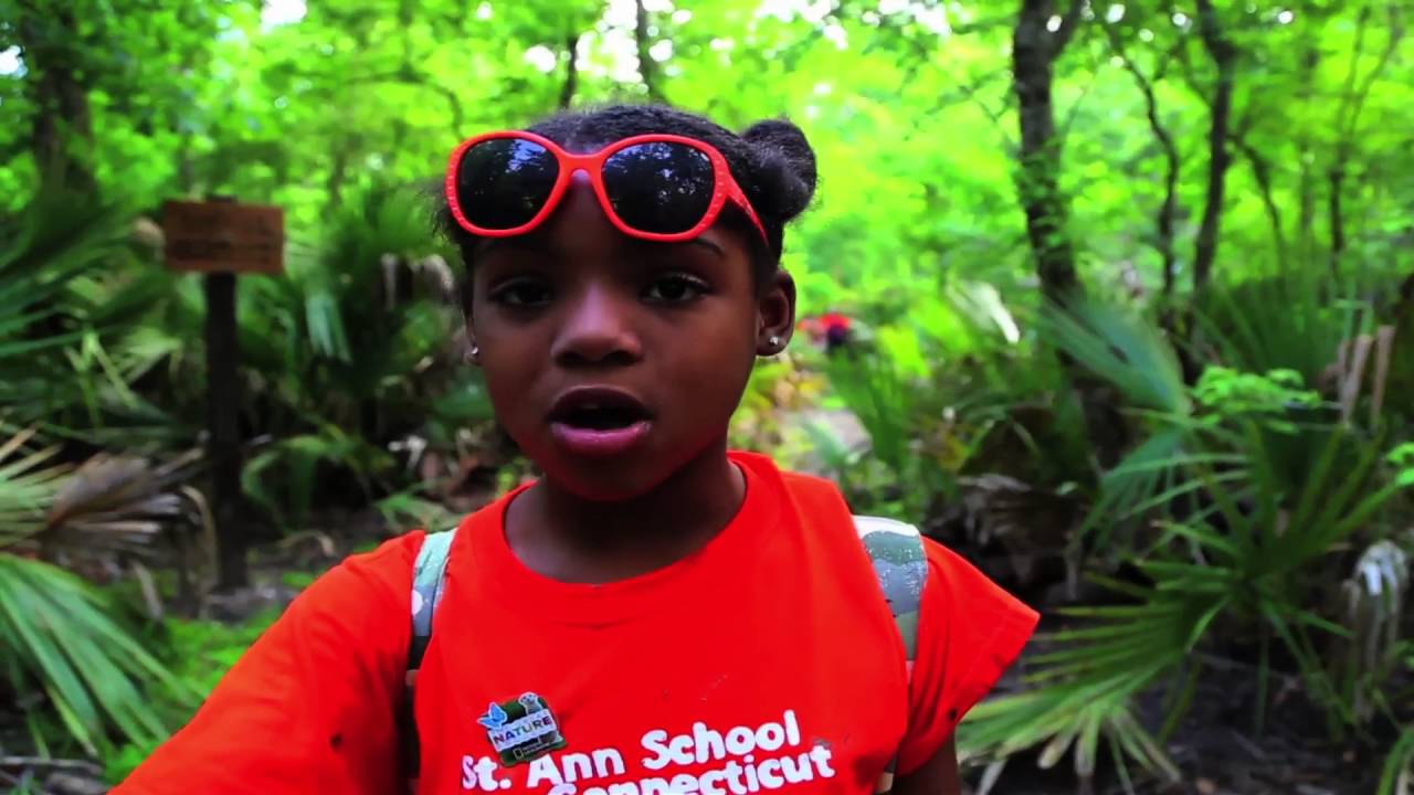 Imani's Bioblitz