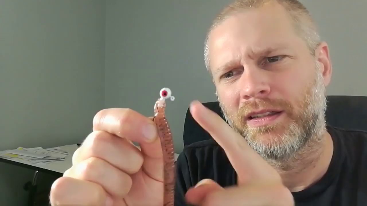 Budget Bass Fishing - How to Fish Zoom Worms