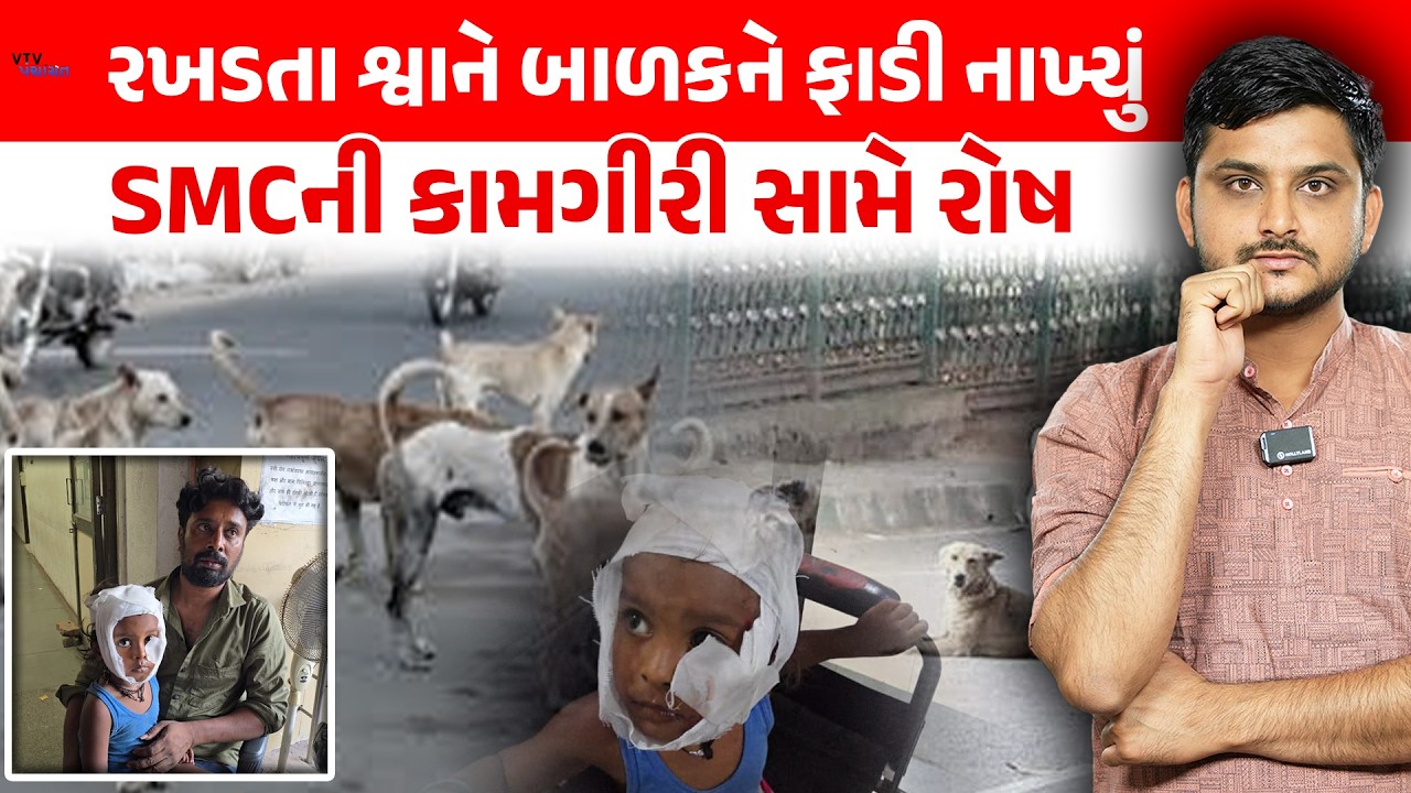 Surat માં રખડતા શ્વાને 4 વર્ષના બાળકને ફાડી નાખ્યું, SMCની કામગીરી સામે સવાલ। VTV Panchayat