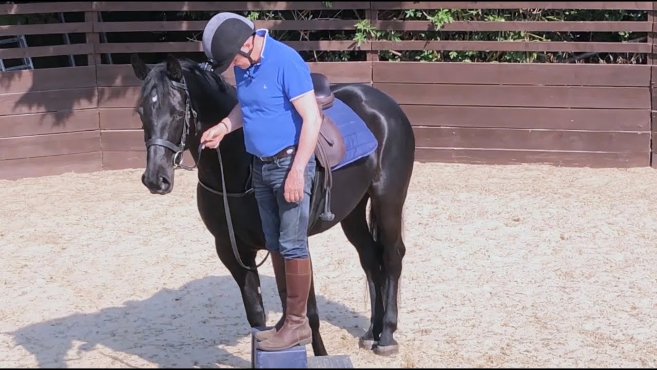 Part 2. Mounting block training.  Michael Peace introduces this young horse to the mounting block.