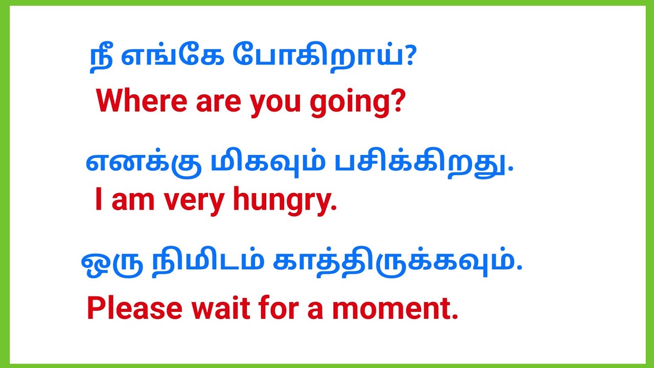10 Daily Usage English Sentences for Beginners | Speak English Easily | Day - 2 | Cactus Saying