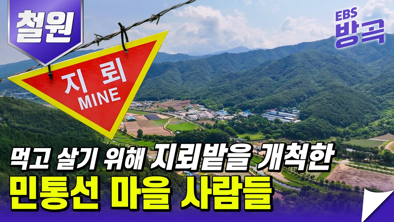 [강원 철원] 민통선마을 주민들의 이야기│인간의 발길이 허락되지 않아 보존된 땅│페허가 된 터전을 다시 일으켜 세운 사람들│고향민국│#방방곡곡