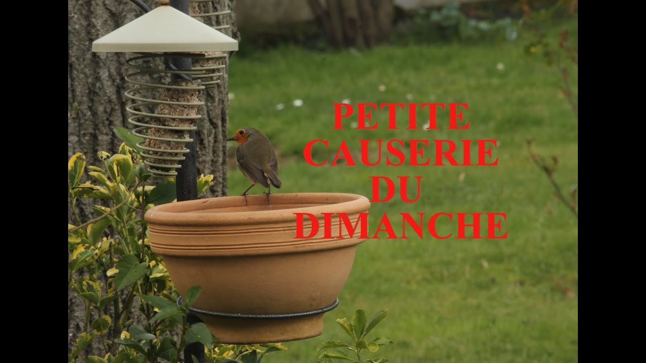 ♥♥ Petite Causerie du Dimanche ♥♥
