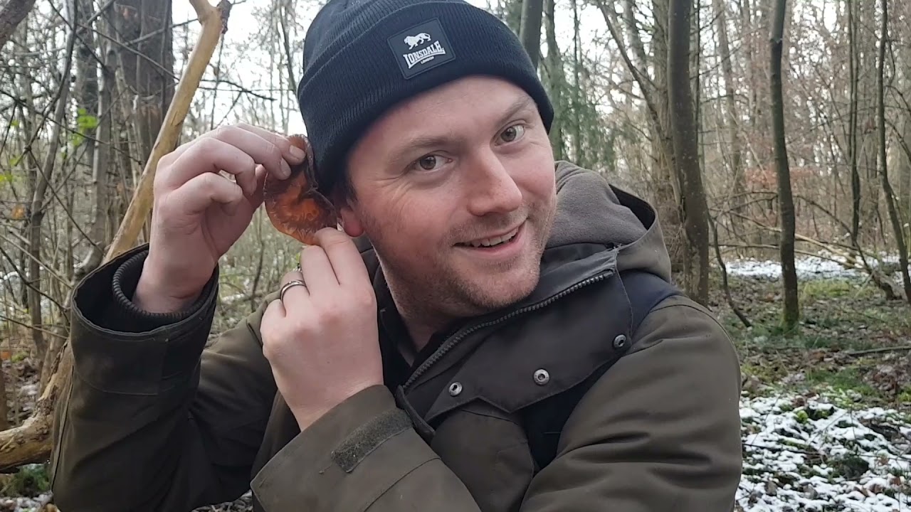 Die erste Krause Glucke 2022 - auf Pilztour mit Daniel (@Pilzfieber)