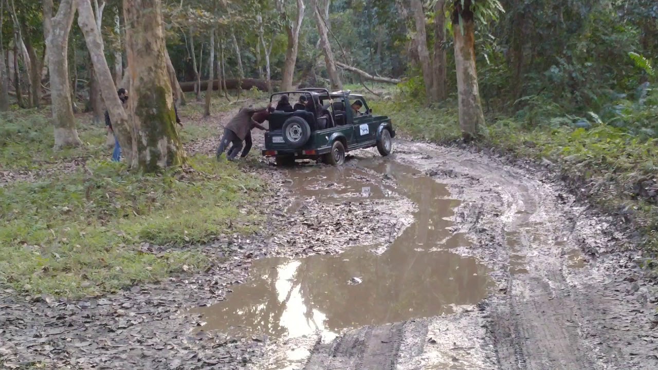 Kaziranga Deep forest car rescue