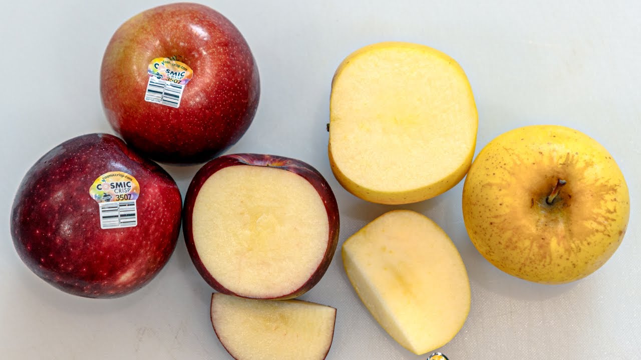 NEW Cosmic Crisp Apples, and Opal Apple Taste Test
