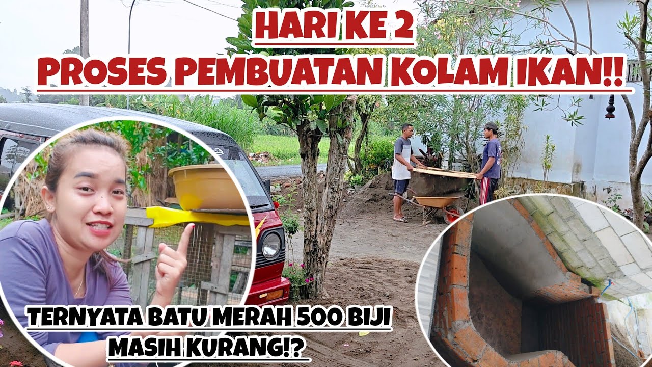 HARI KE 2 PROSES PEMBUATAN KOLAM IKAN‼️TERNYATA BATU MERAH 500 BIJI MASIH KURANG⁉️