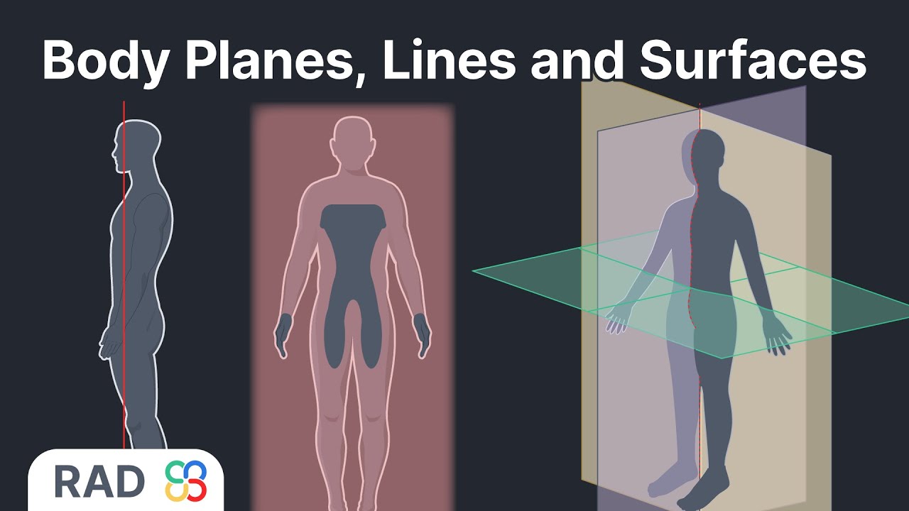 Body Planes, Lines and Surfaces
