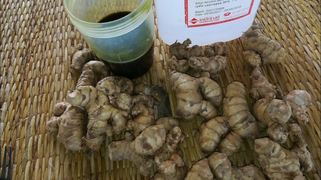 วีธีการทำสารสกัดจากสมุนไพร ง่ายๆใครก็ทำได้