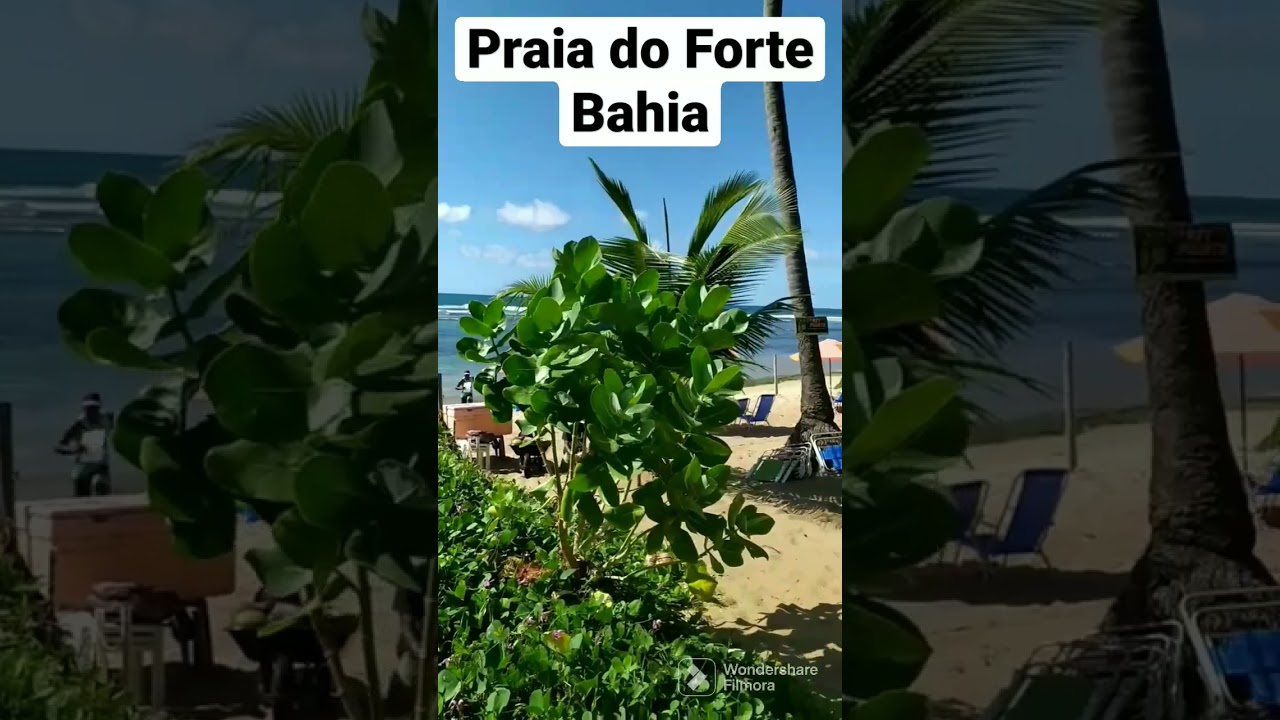 Praia do Forte Praia do Lord Bahia #praiadoforte #bahia #praia