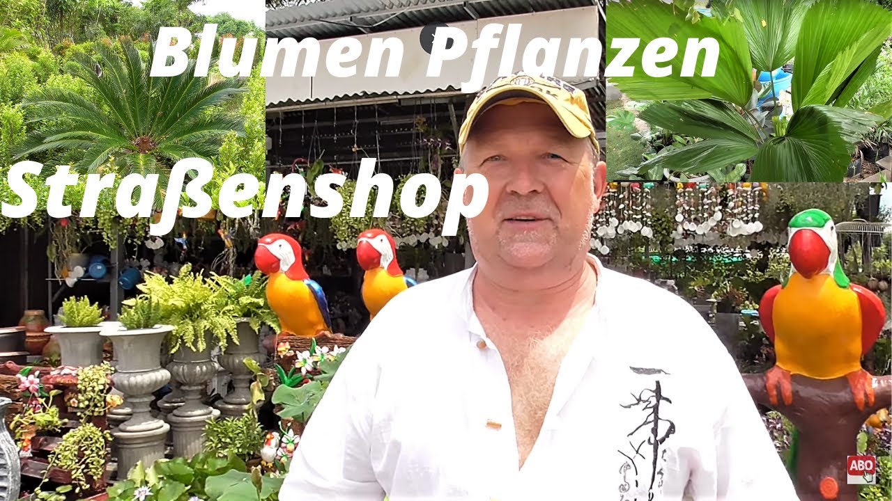 Thailand Ausgewandert. Pflanzen und Blumen kaufen im Gärtnerei Straßenshop Sakon Nakhon.