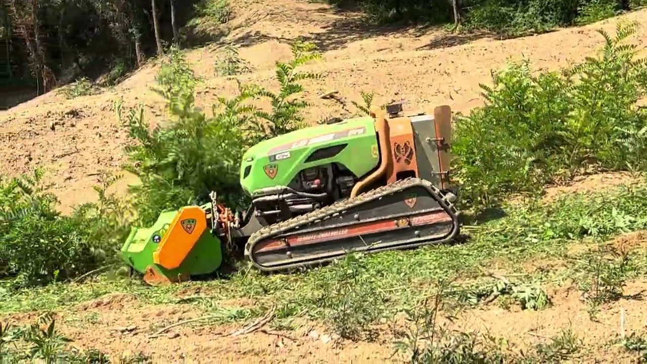 LV300 Pro - MDB Green Climber having fun with Robinia