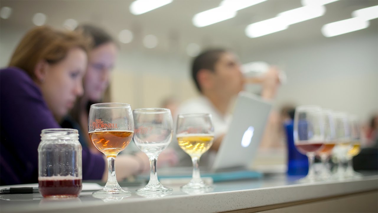 Science of Beer
