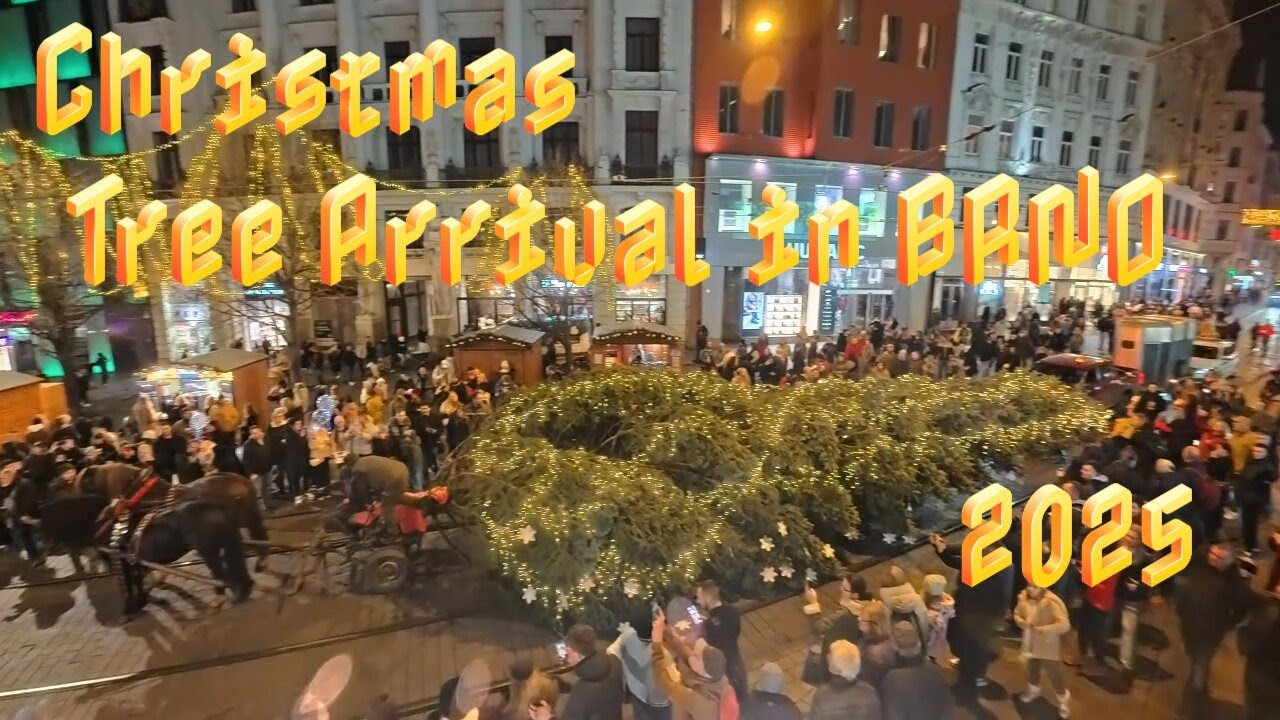 Christmas Tree arrived in Brno City Centre 2025