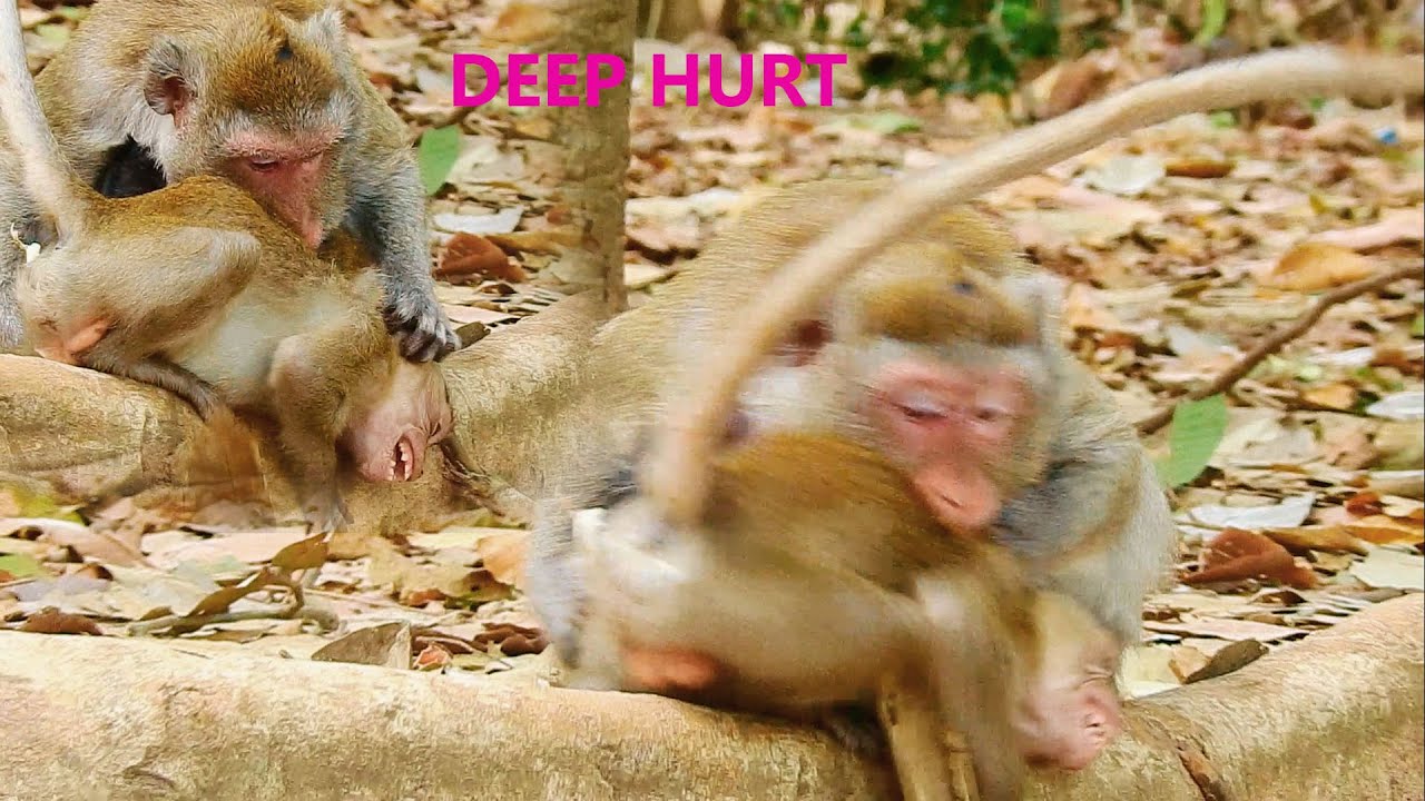 MILLION SAD NEVER SEEN MOM JANE BITE TO HER BABY JANNA TILL SUPER HURT CRY LOULDY LIKE THIS |