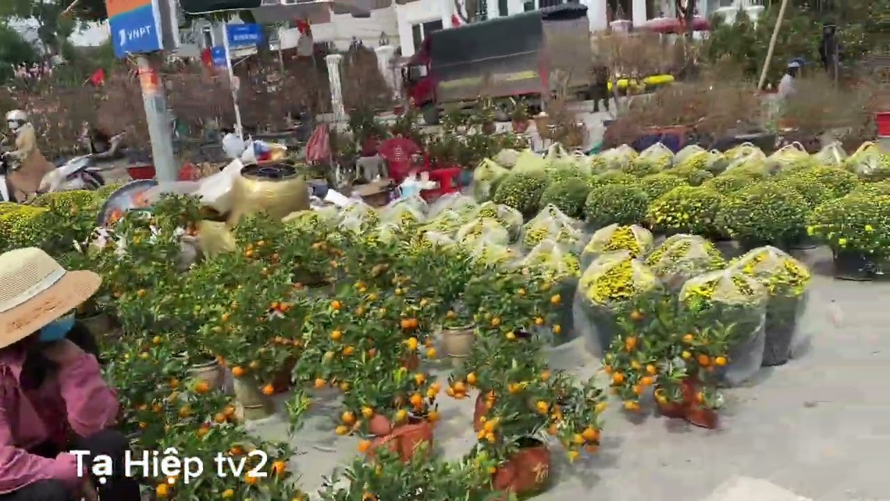 Chợ hoa đào ngày tết vắng khách
