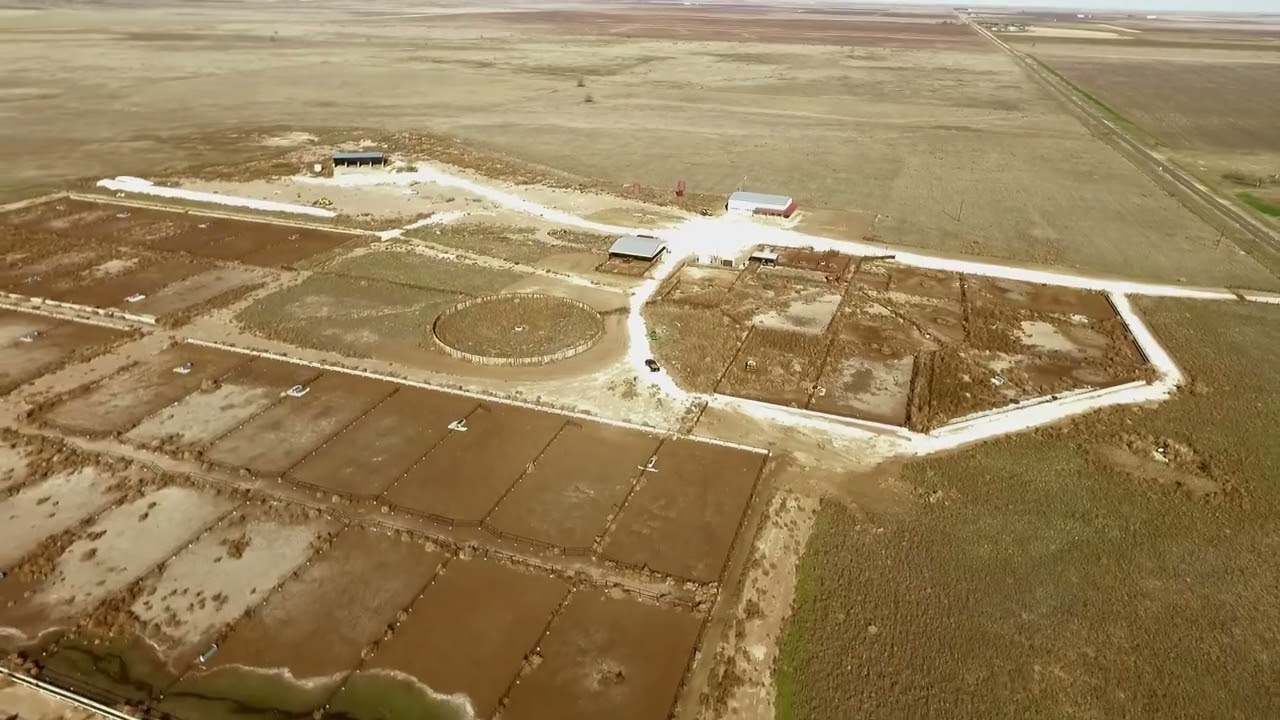Growyard | 160 Acres | Terry County