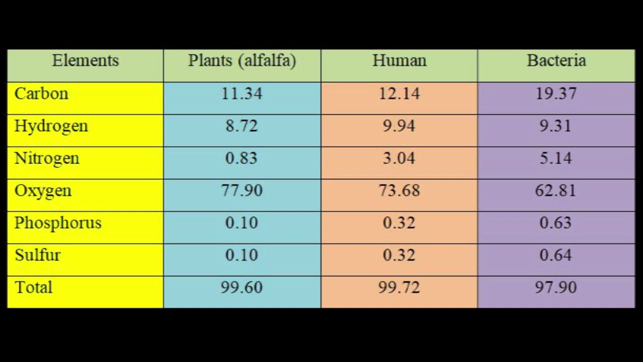 THE MOLECULAR BASIS OF LIFE