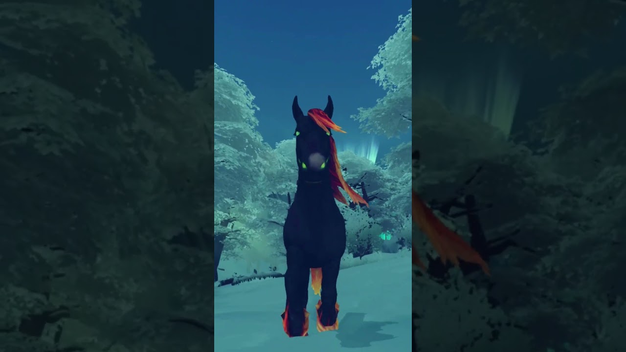 🐴Nur ein Traum ?🦄 | 