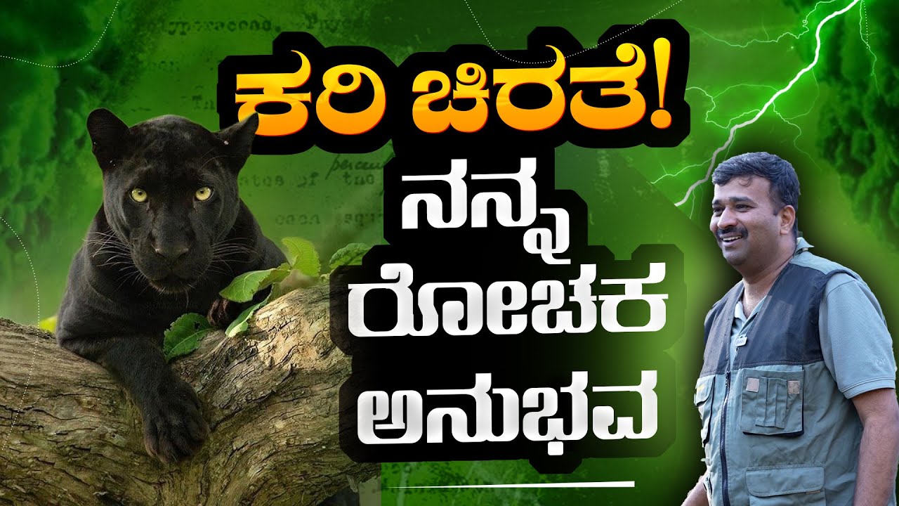 EP-401 | 146 Safari ಆದ್ಮೇಲೆ‌ ನನ್ನ ಕ್ಯಾಮೆರಾಗೆ ಸಿಕ್ಕ Prince |  Wildlife | GSS MAADHYAMA