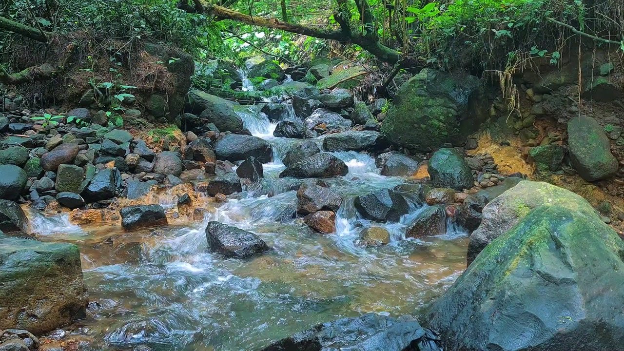 Moonlit River Sounds – Gentle Water Flow Ambience to Help You Fall Asleep Faster