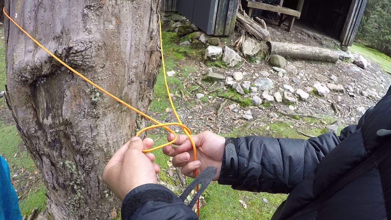 How to Set Up a Clothesline in the Bush