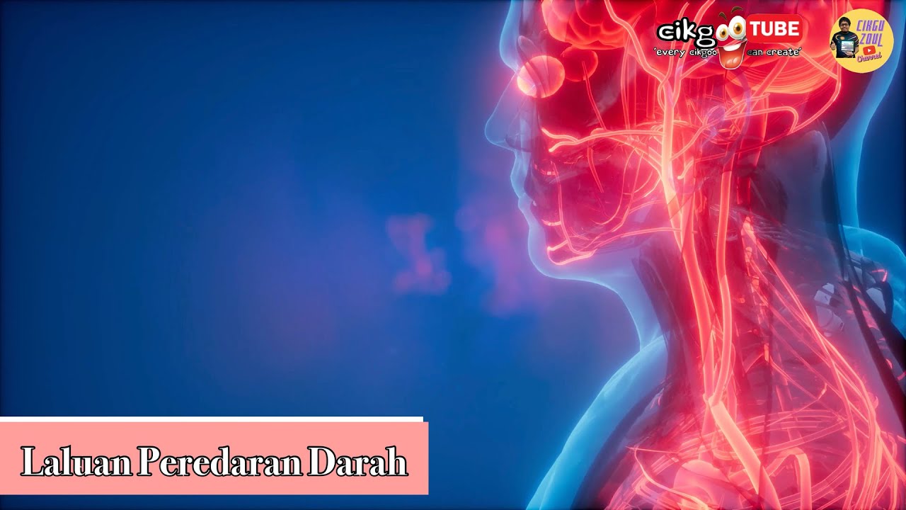 Sains Tahun 5: Laluan Peredaran Darah Manusia