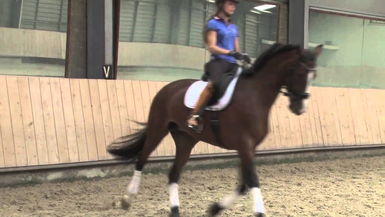 Inleiding aflevering 5:Wijken voor de kuit