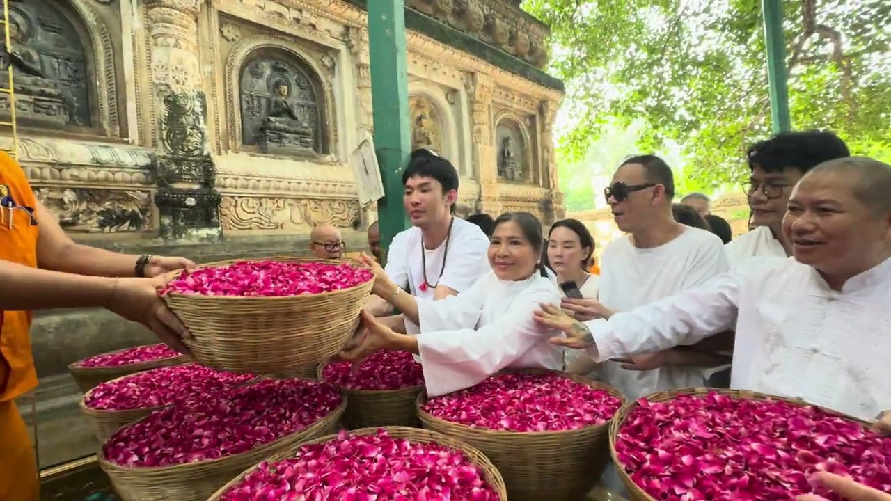 คุณณราวดี (แม่แก้ว)คูกิมิยะ และคณะ ถวายกุหลาบแสนกลีบสถานที่ตรัสรู้ ๒๑สิงหาคม ๒๕๖๗