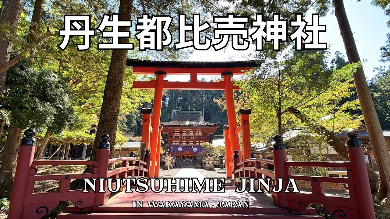 【神社紹介】丹生都比売神社｜高野山の総鎮守・丹生都比売大神を訪ねてNyuutsuhime Shrine: Visiting the Guardian Goddess of Mt. Koya