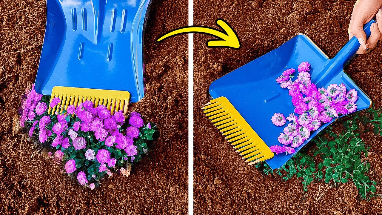 GARTENTRICKS F&Uuml;R DEN SOMMER 🌸🌿 TIPPS ZUM PFLANZENWACHSTUM