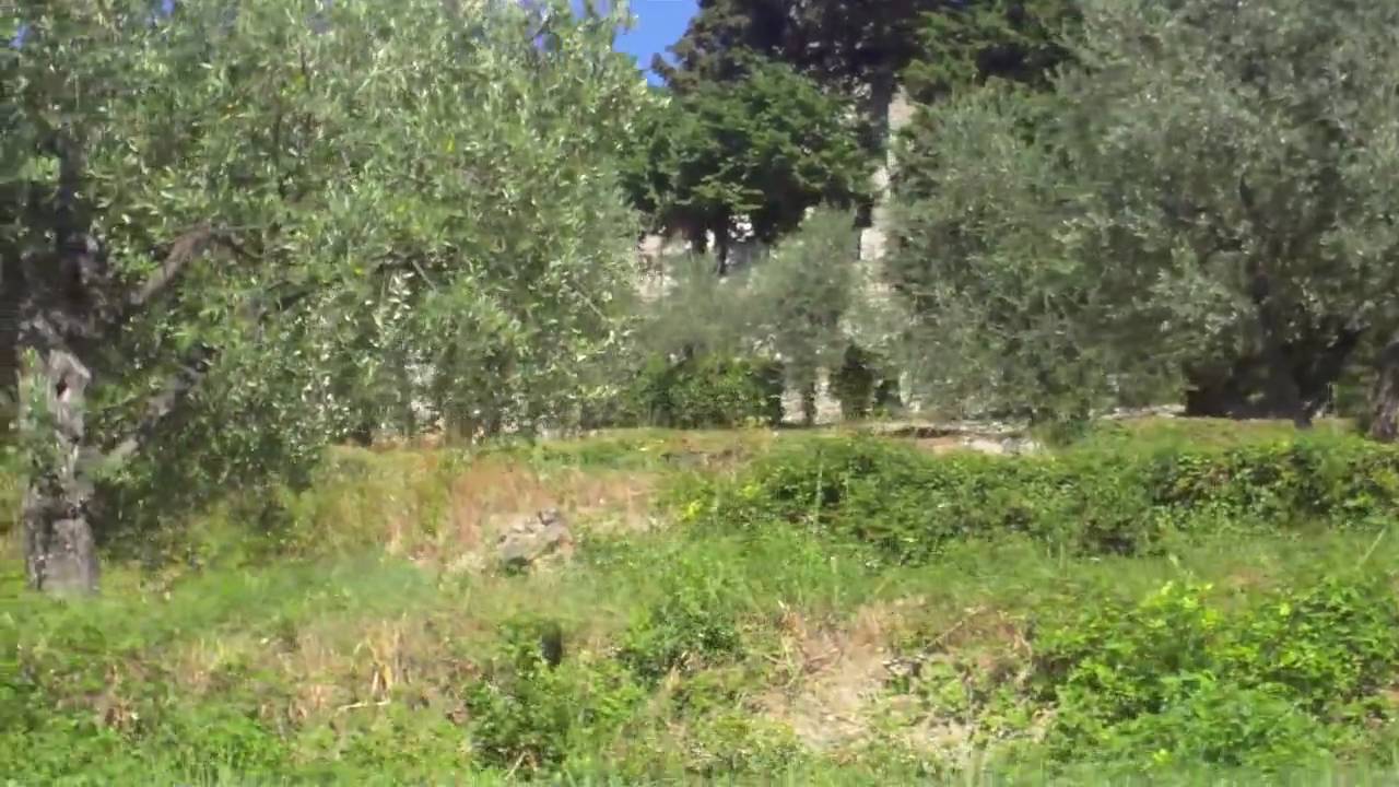 Legri e i colli di Calenzano