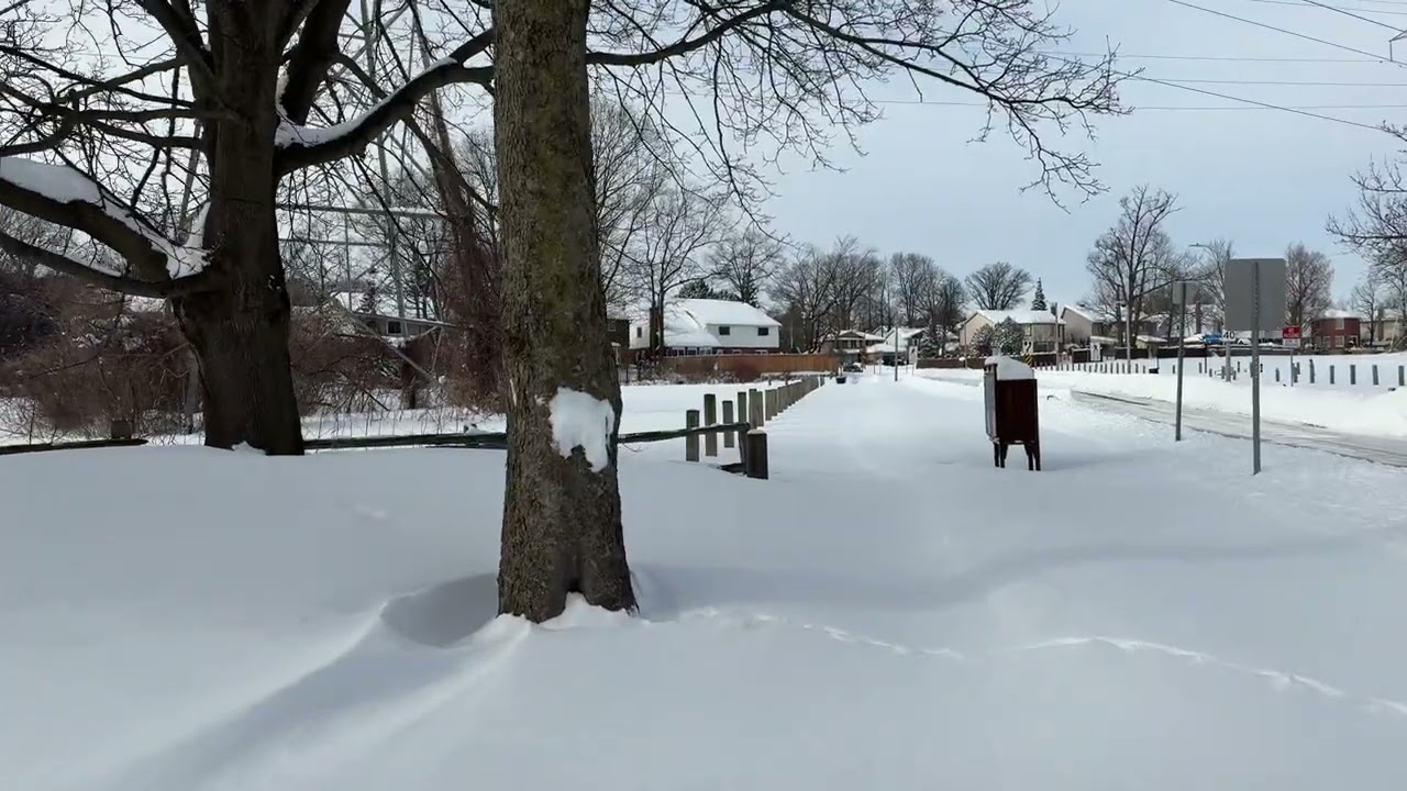 Still Streets • A Snowy Neighborhood Walk