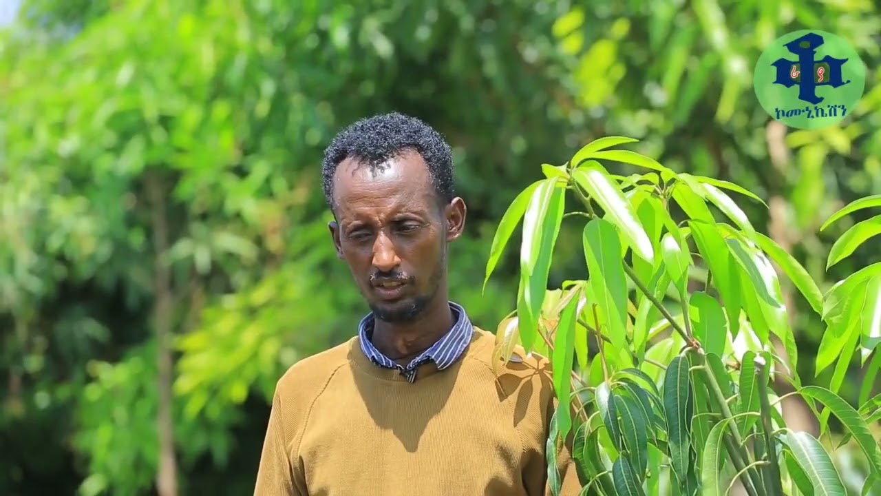 በኤስ ኤን ቪ ሆርቲ ላይፍ ፕሮጀክት የአትክልትና ፍራፍሬ ተጎበኘ!!