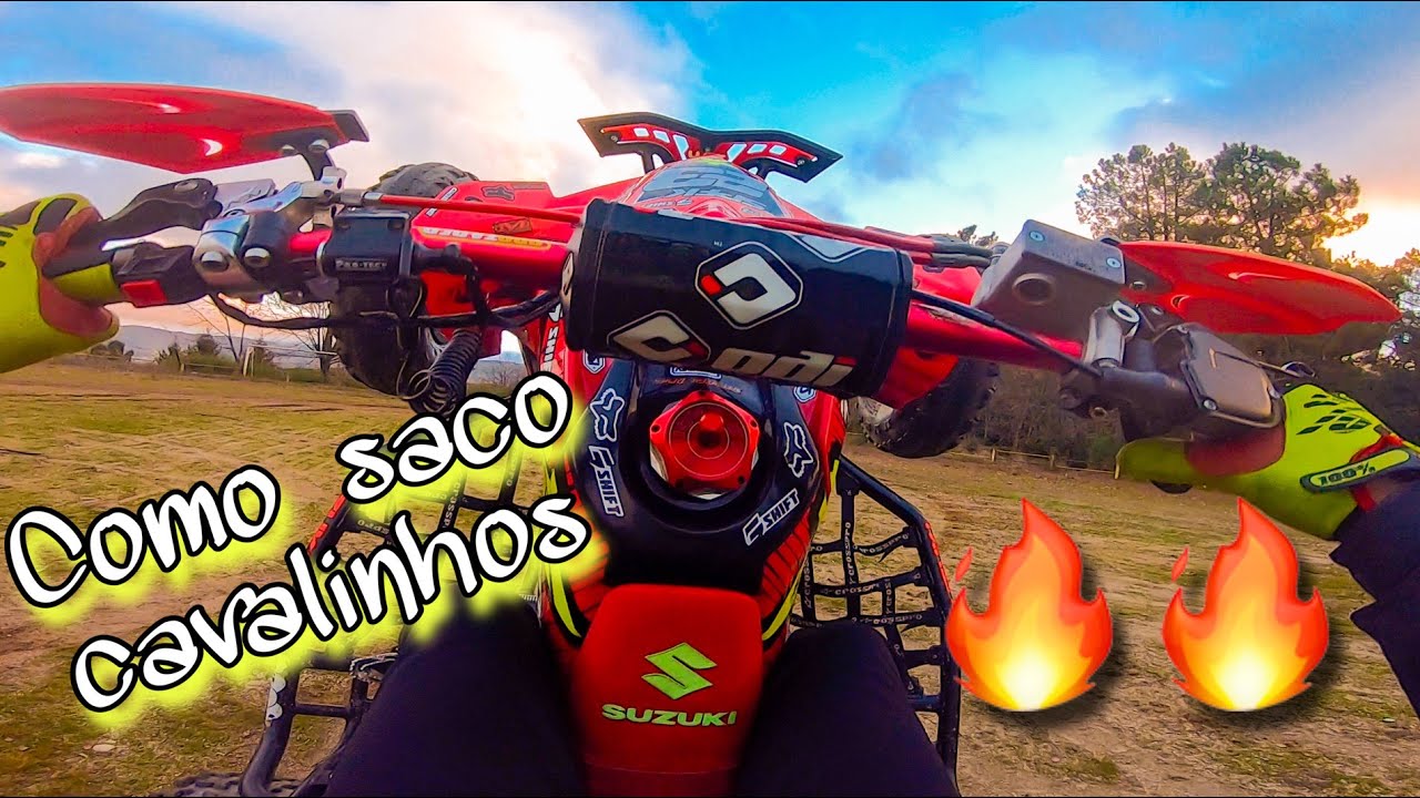 Como saco cavalos na LTR 🔥🔥