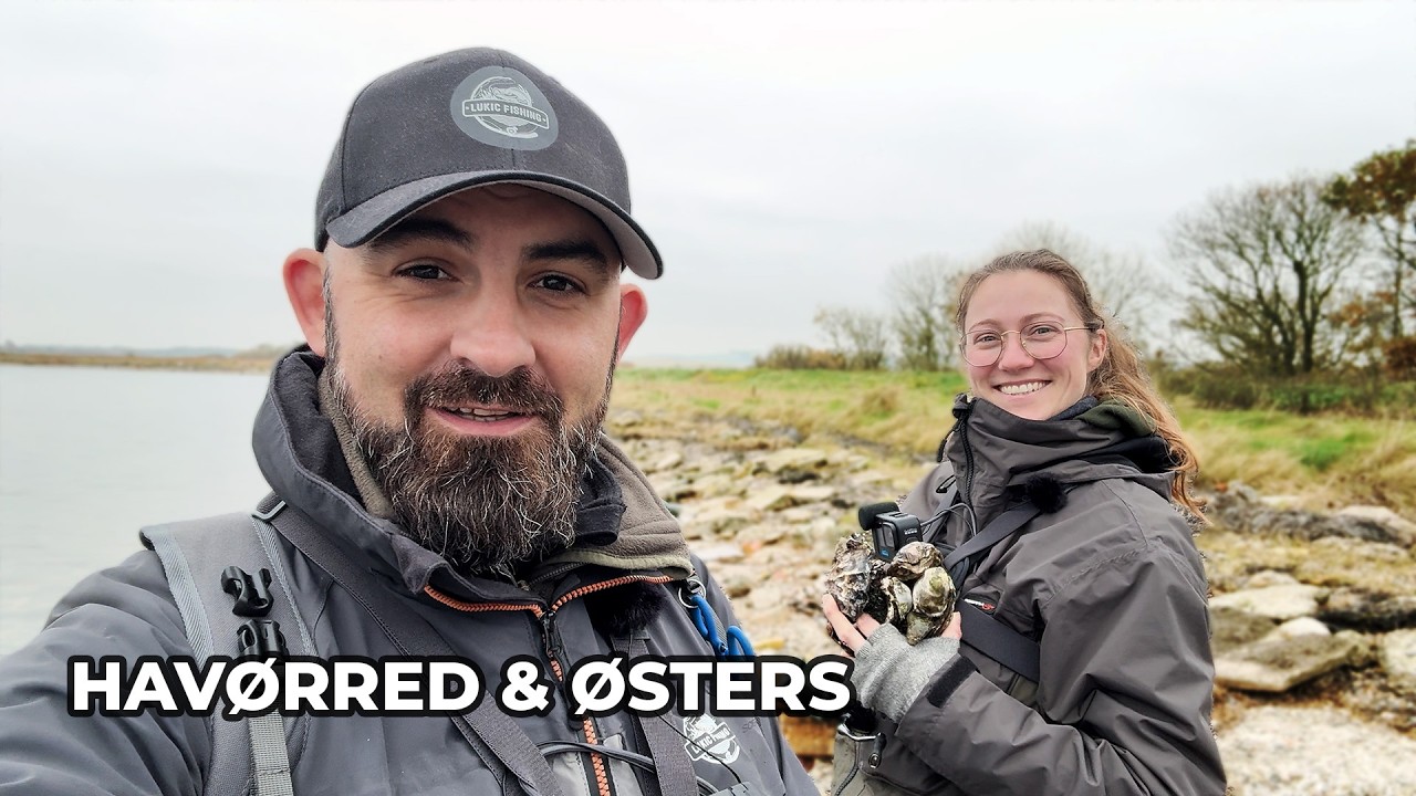Kystfiskeri efter havørred & vilde østers – hvad vi finder på Limfjorden