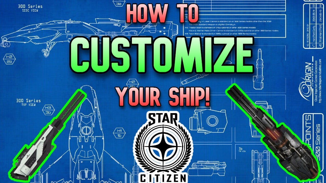 How To CUSTOMIZE YOUR SHIP in STAR CITIZEN! | First Steps In Fully Customizing your Ship!
