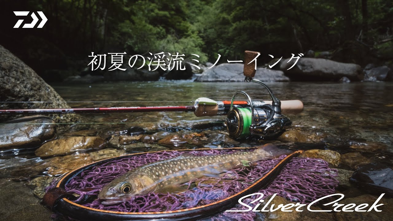 Daiwa Silver Creek ～初夏の渓流ミノーイング～
